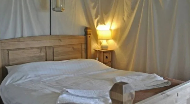 Bear Lodge - Glamping