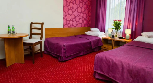Номер Standard Hotel Ognisty Ptak