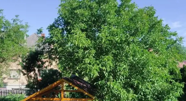 Völgyfürdő Apartman, Buchen Sie Ferienwohnung Eger 
