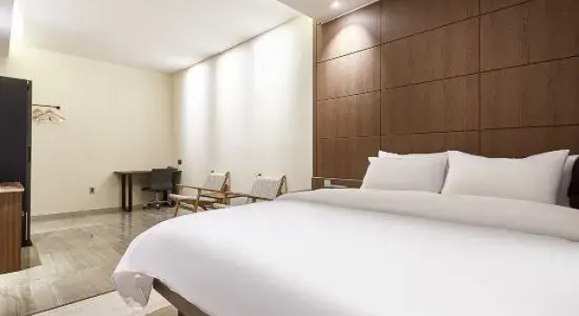Двухместный люкс Allee Hotel