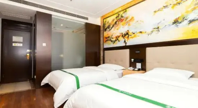Номер Business GreenTree Inn Changzhou Dinosaur Park Global Harbor Express Hotel
