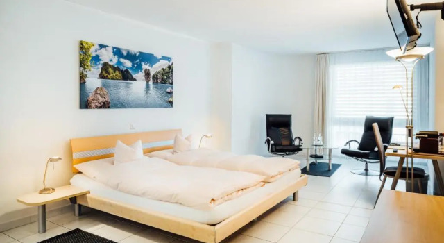 Двухместный номер Standard flexymotel Buchs