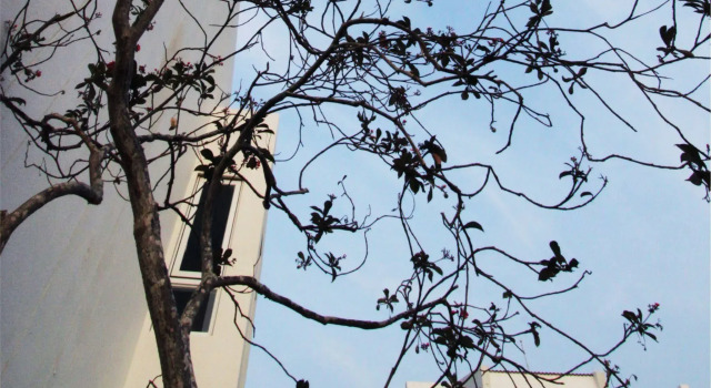 Bay Forest Boutique B&B, Book Boutique Hotels in Hengchun with Breakfast, Breakfasts