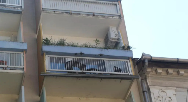 Студия Verona Apartman