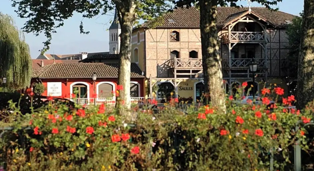 Номер Superior Les Saules Parc & Spa - Teritoria