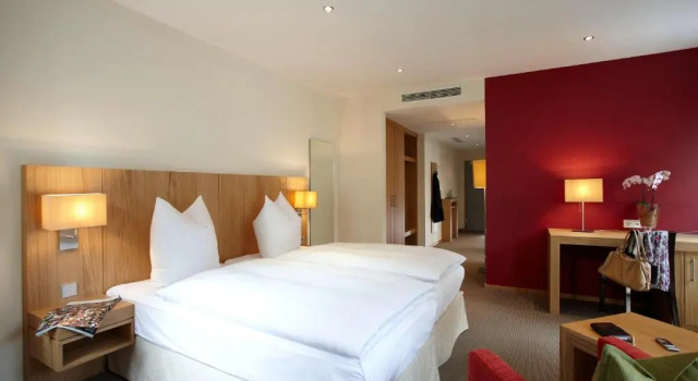 Двухместный номер Standard Hotel Falken