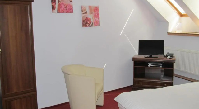 Двухместный номер Standard Hotel Růžek