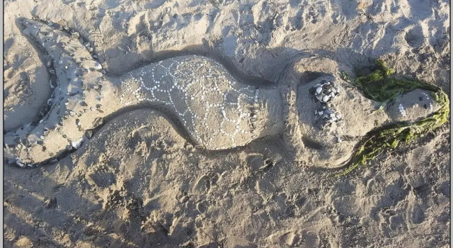 Strandhaus Vielmeer - exklusiv mit Sauna & Kamin direkt am Strand