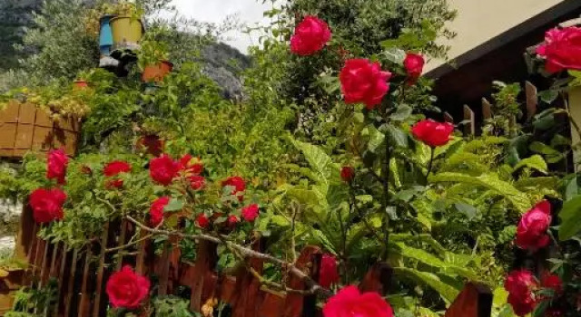 Четырёхместный номер Standard ROOMS EMILIANO Castle of Kruja