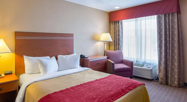 Comfort Inn York, Book Hotel Hoteller i York med pool, Swimmingpool