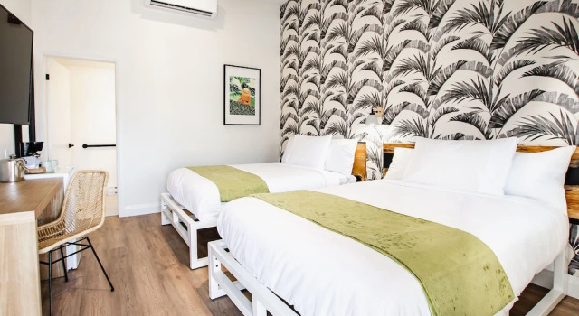 Четырёхместный номер Standard The Kiwi Motel