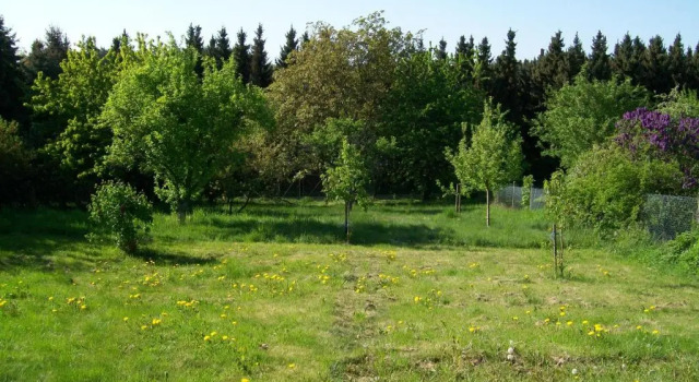 Коттедж Elfenhaus
