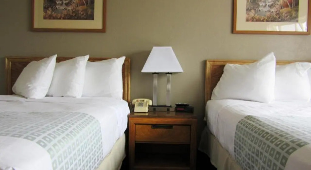 Четырёхместный номер Standard White Buffalo Hotel