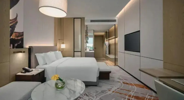 Номер Standard Crowne Plaza Wuhan Tianhe Airport by IHG