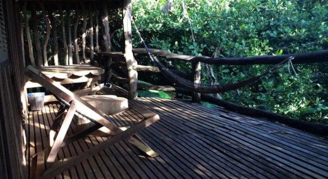 Бунгало Tree Top Eco-Lodge