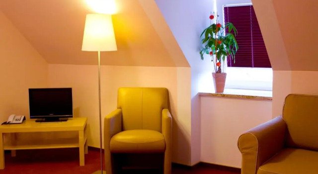 Двухместный номер Standard Hotel Donau