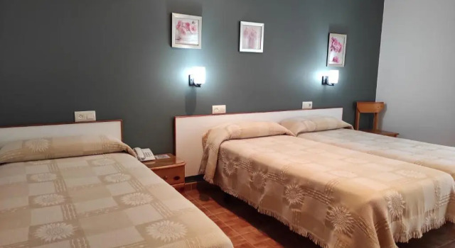 Трёхместный номер Standard Hotel Grove