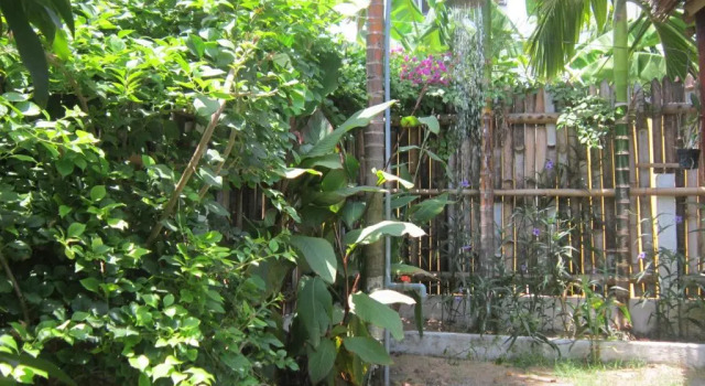 Студия Local Beach Homestay