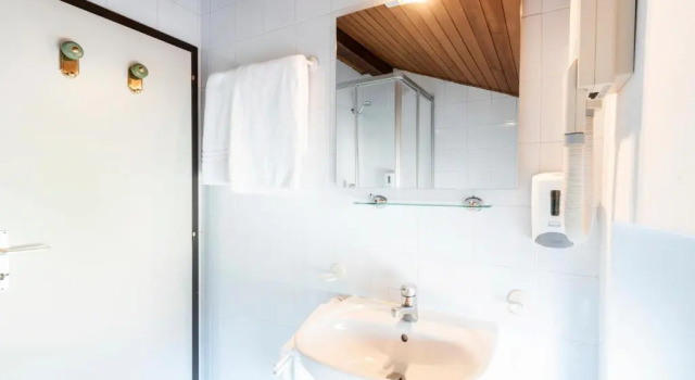 Двухместный номер Standard Albergo Ristorante Svizzero