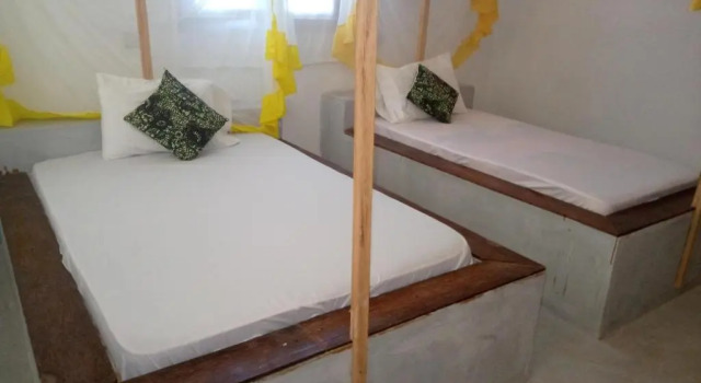 Sunflower Campaign & Sea Nungwi