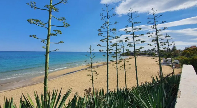 Коттедж Villa Mare Pantenello, 80 metri dalla Spiaggia