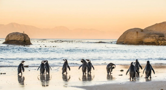 Sea The View Self Catering, Book Hotel Cape Town CBD Cape Town