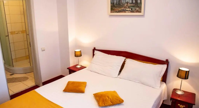 Двухместный номер Standard Hotel Cantemir