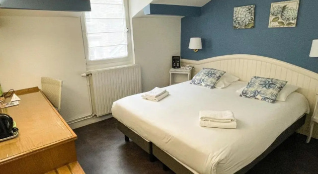 Двухместный номер Standard Garden Hotel Rennes Centre Gare