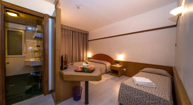 Трёхместный номер Standard New Petit Hotel