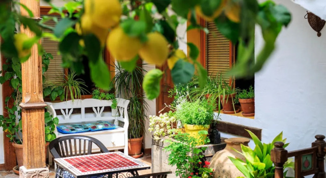 Номер Comfort Boutique Hotel La Posada del Angel Ojén