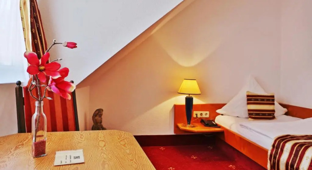 Номер Standard Hotel Neckarlux