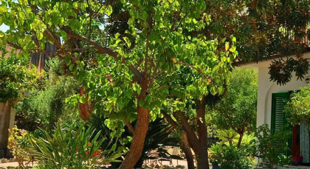 Seafront Apartments Garden House, Book Apartment Hotels in Sicily with Parking, Parking