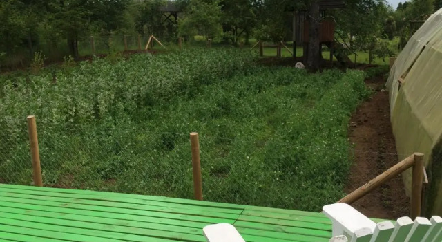 Бунгало Ecoreserva Quelhue Lodge y Cabañas