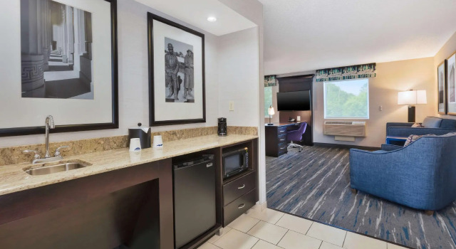 Двухместный люкс с 2 комнатами Hampton Inn and Suites Flint/Grand Blanc