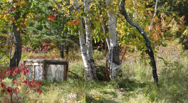 Шале c 1 комнатой Auberge Carpe Diem