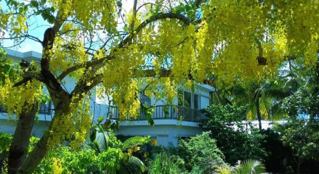 Monolocale Cap Heureux Villas