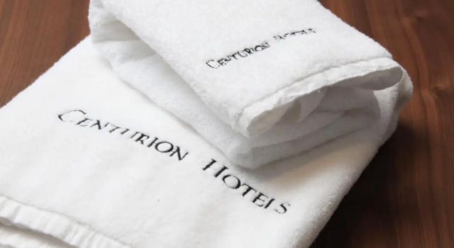 Двухместный номер Standard Centurion Hotel Classic Nara Station