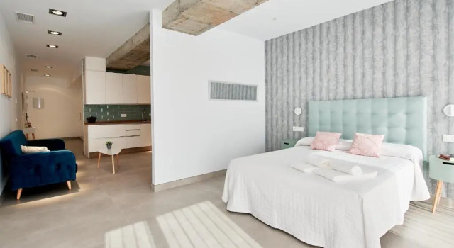 9 NIDOS Centrica Suites - Nuevo, Book Hotel Plasencia Monfragüe