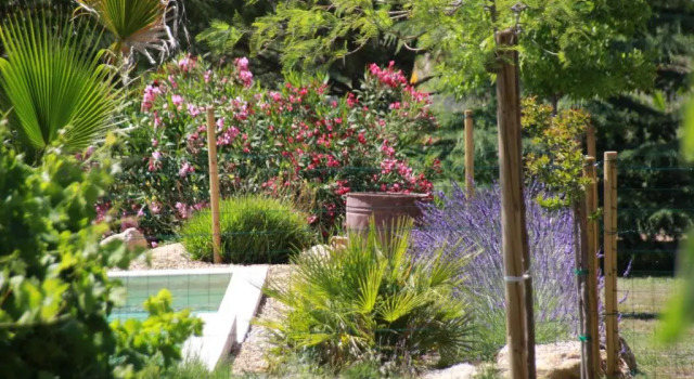 Mas de la Frigoule, Book Hotel Hoteller i Le Pouget med pool, Swimmingpool