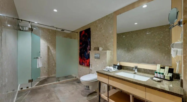 Клубный номер Standard The Fern Residency Aurangabad - Chhatrapati Sambhaji Nagar