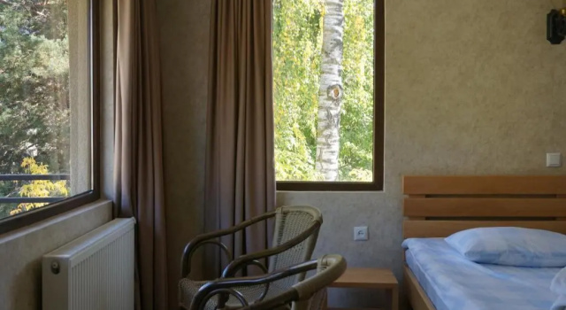Номер Deluxe Mestia Panorama