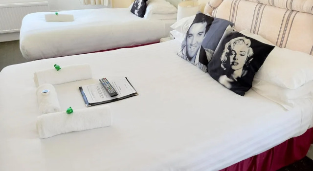 Deluxe cameră Albert Hotel
