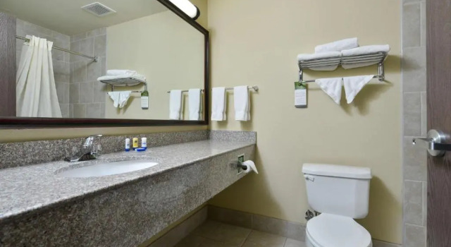 Номер Standard Best Western Plus Burleson Inn & Suites