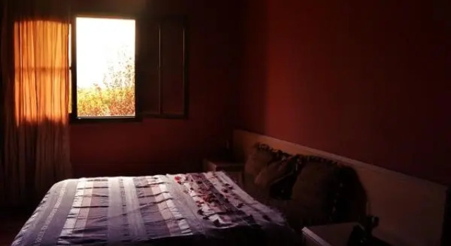 Люкс с видом на сад Villa Paradise