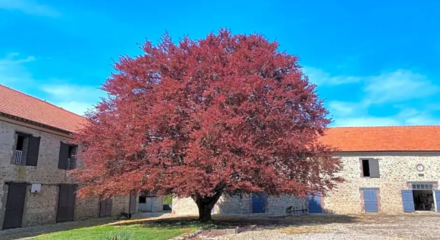 Ferme De La Trousse, Забронировать Отель Окер Seine-et-Marne