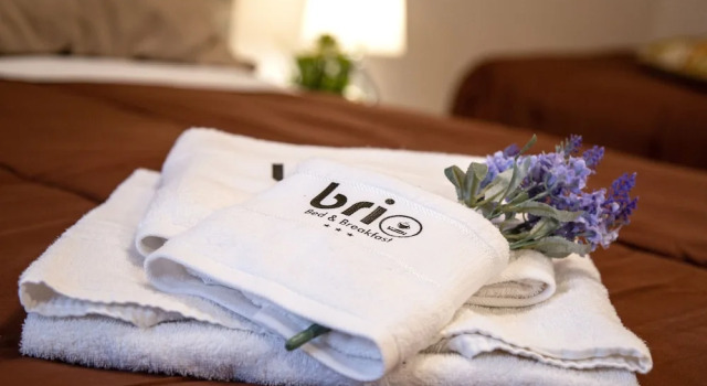 Deluxe værelse Brio Bed & Breakfast
