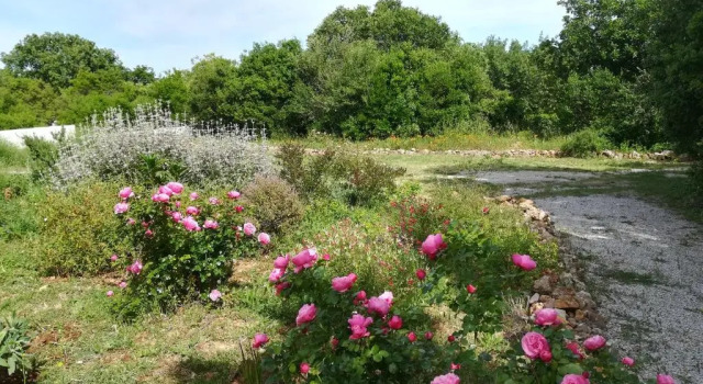 Entre Brousse Et Garrigue, Rezervați Hotel Viols-le-Fort 