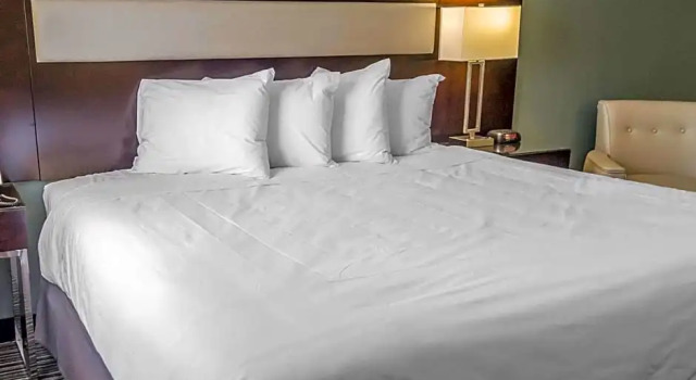 Camera tripla Standard Quality Inn