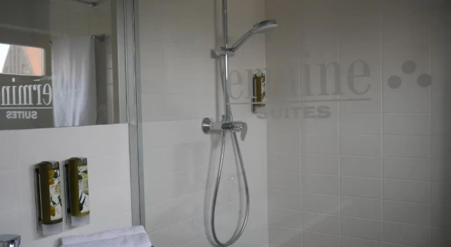 Апартаменты Ermine Suites