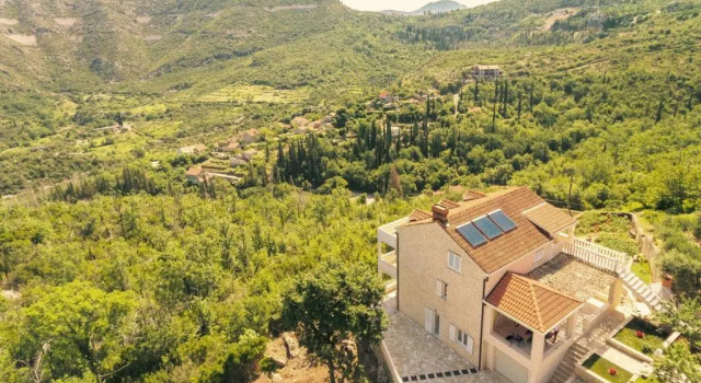 Апартаменты Green Paradise Apartments